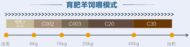 7.png